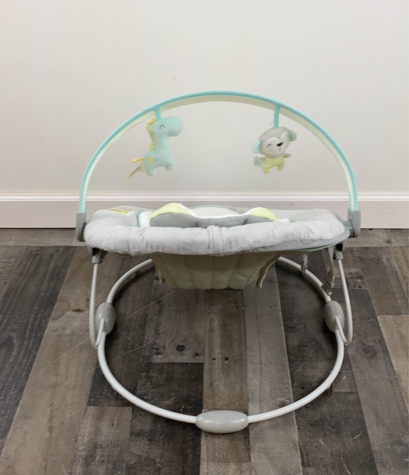  Ingenuity Soothe 'n Delight Bouncer
