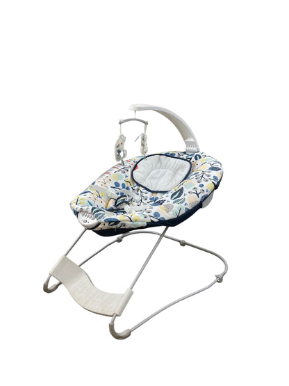 Fisher Price See & Soothe Deluxe Bouncer