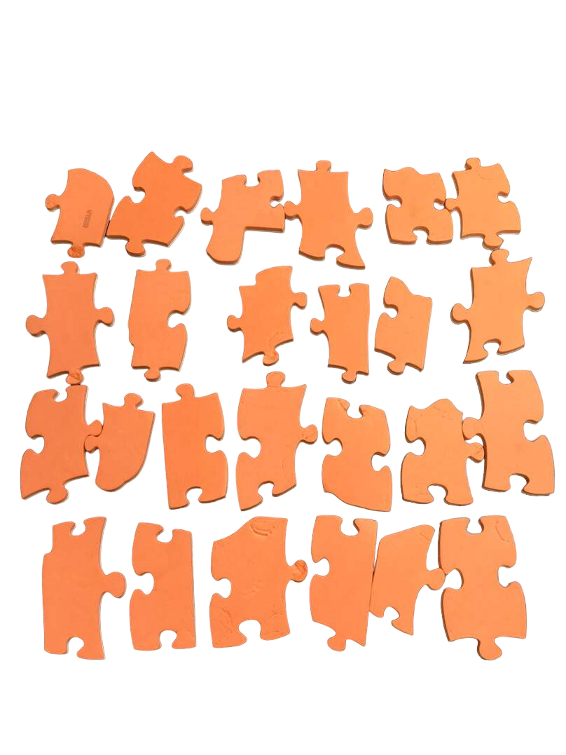  PAW Patrol Foam Puzzle Playmat
