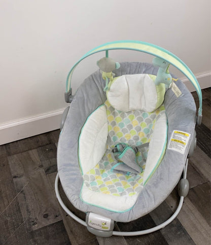  Ingenuity Soothe 'n Delight Bouncer