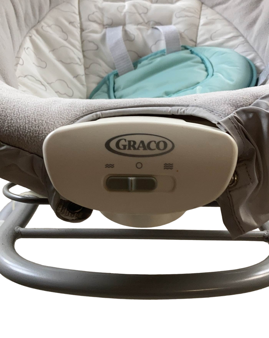  Graco Duet Sway Swing With Portable Rocker, Roam