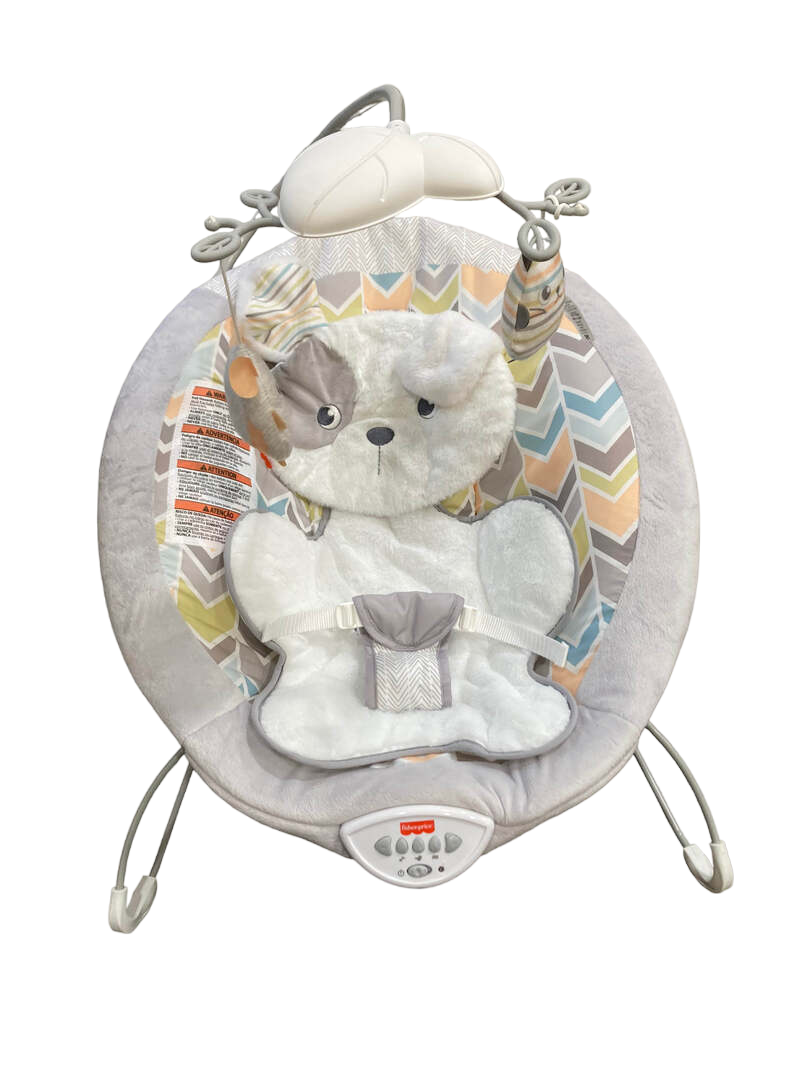  Fisher Price Deluxe Bouncer, Sweet Snugapuppy Dreams