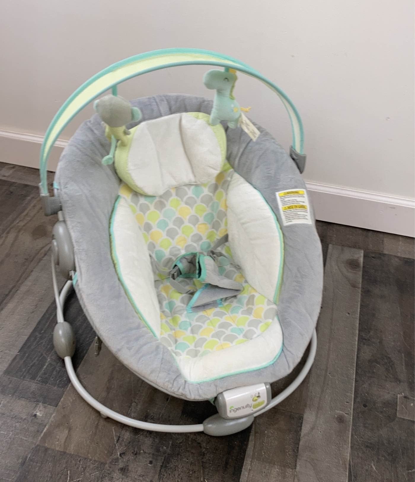  Ingenuity Soothe 'n Delight Bouncer