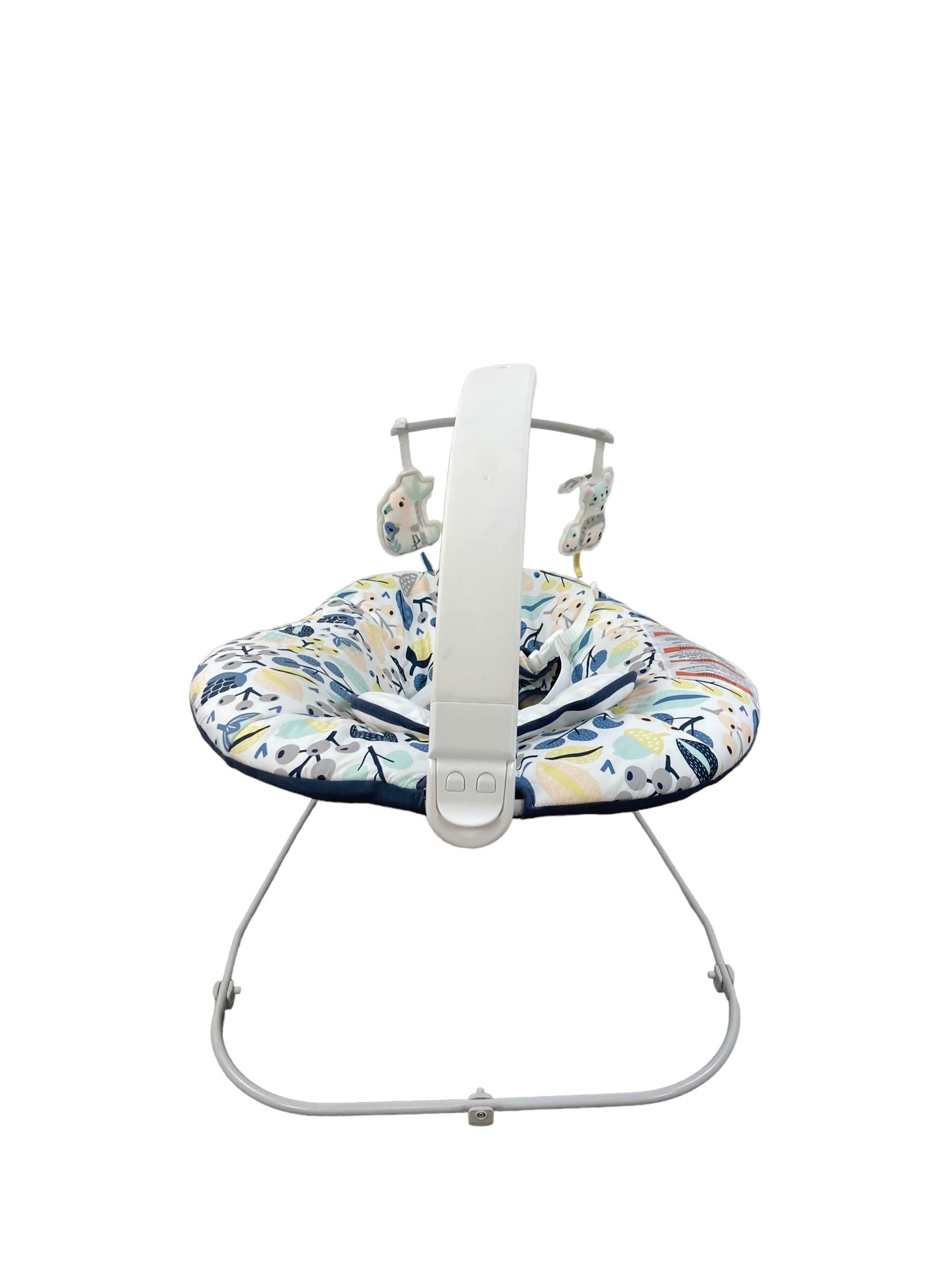  Fisher Price See & Soothe Deluxe Bouncer